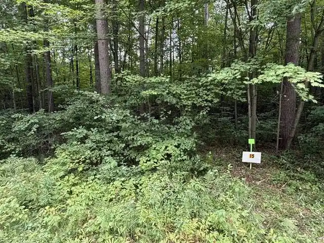 2nd image of Lot 15 Burma Road Road, Mosinee, WI 54455 | MLS# 22603973