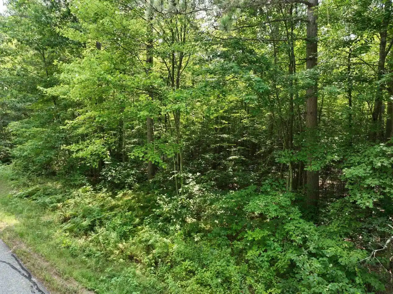 Photo 4 of Land for sale at Lot 15 Burma Road Road, Mosinee, WI 54455 | MLS# 22603973 | Listing updated on 2026-08-18