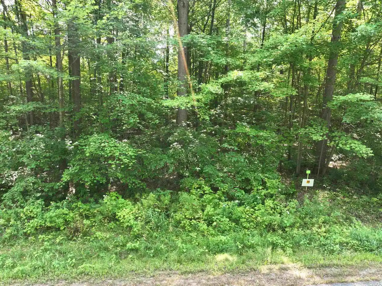 8th image of Lot 15 Burma Road Road, Mosinee, WI 54455 | MLS# 22603973
