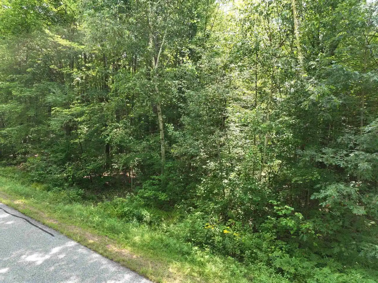3rd image of Lot 16 Burma Road Road, Mosinee, WI 54455 | MLS# 22603974