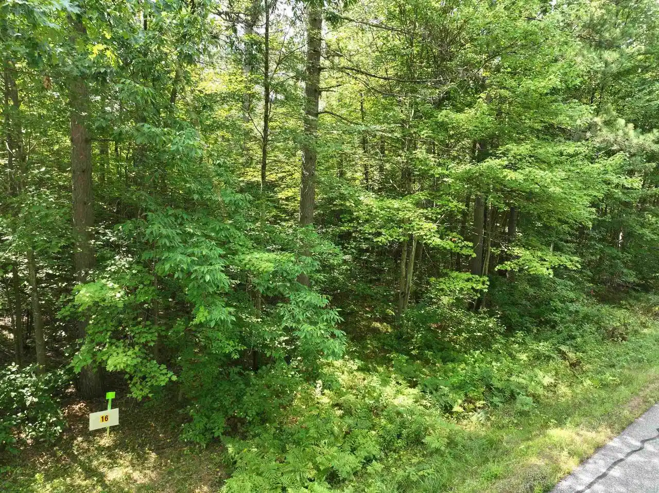 5th image of Lot 16 Burma Road Road, Mosinee, WI 54455 | MLS# 22603974