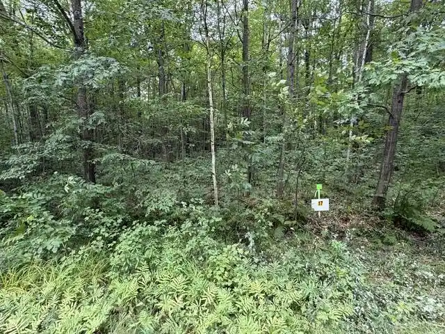 2nd image of Lot 17 Burma Road Road, Mosinee, WI 54455 | MLS# 22603975