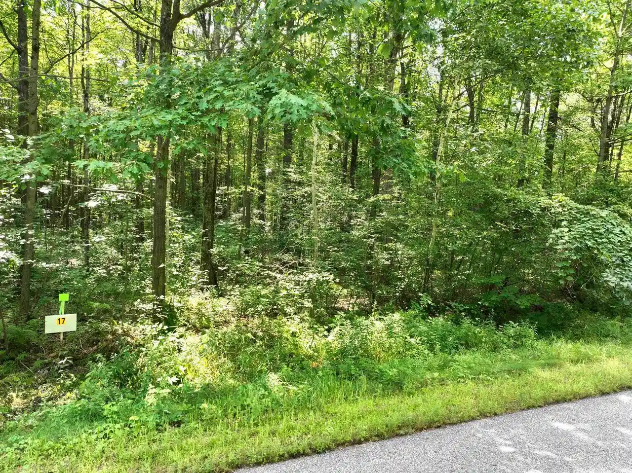 Photo 3 of Land for sale at Lot 17 Burma Road Road, Mosinee, WI 54455 | MLS# 22603975 | Listing updated on 2026-08-18