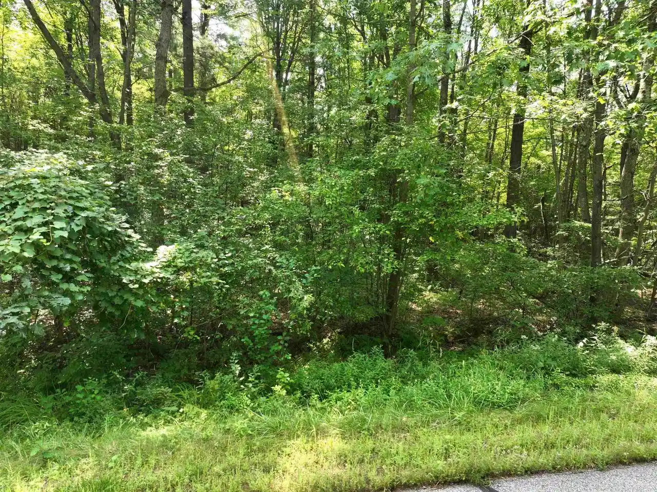 Photo 4 of Land for sale at Lot 17 Burma Road Road, Mosinee, WI 54455 | MLS# 22603975 | Listing updated on 2026-08-18