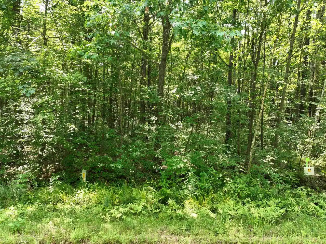 6th image of Lot 17 Burma Road Road, Mosinee, WI 54455 | MLS# 22603975