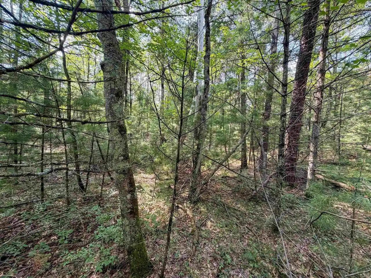 3rd image of W8596 Bluebird Dr Dr, Merrillan, WI 54754 | MLS# 2030598