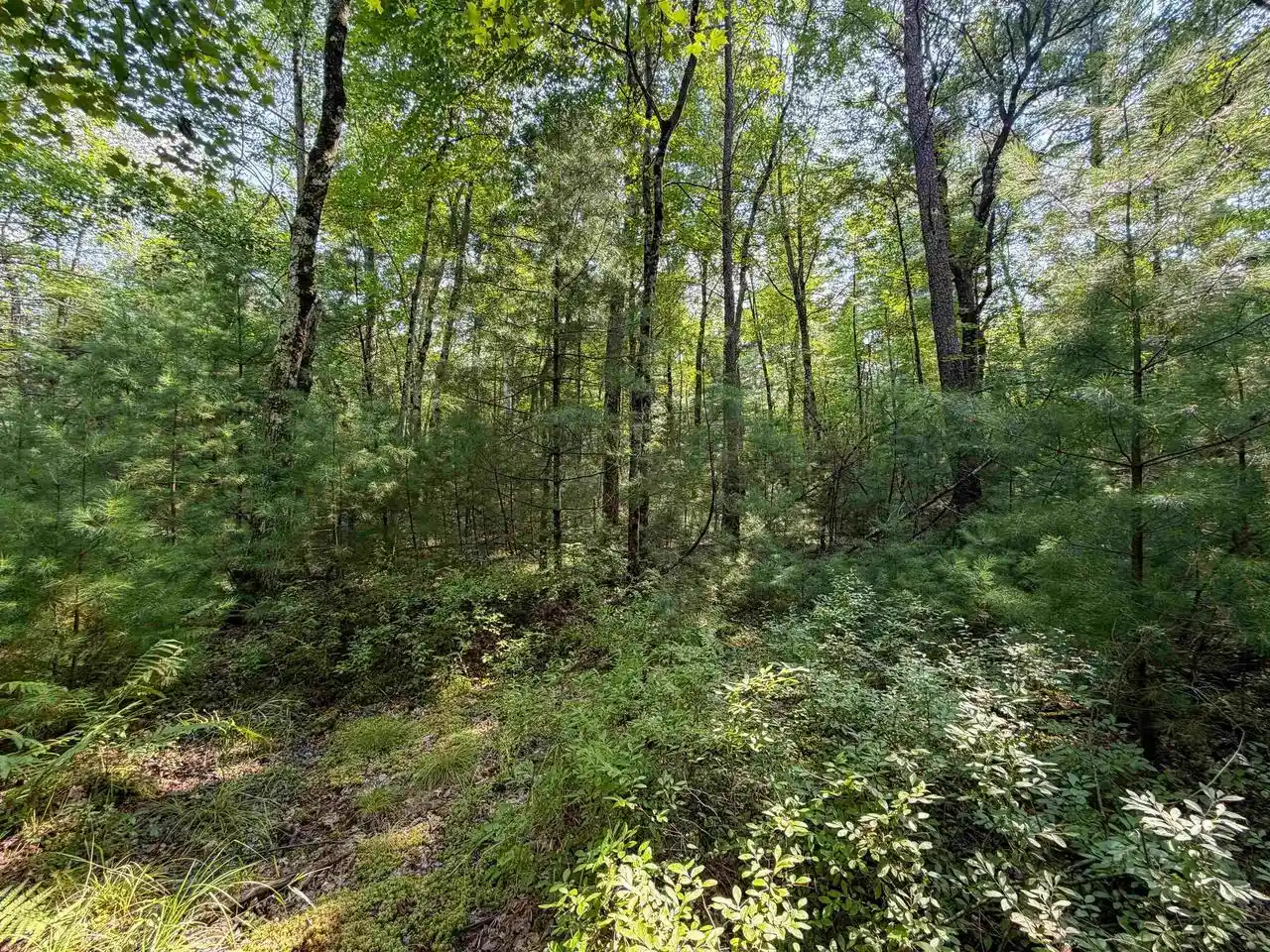 4th image of W8596 Bluebird Dr Dr, Merrillan, WI 54754 | MLS# 2030598