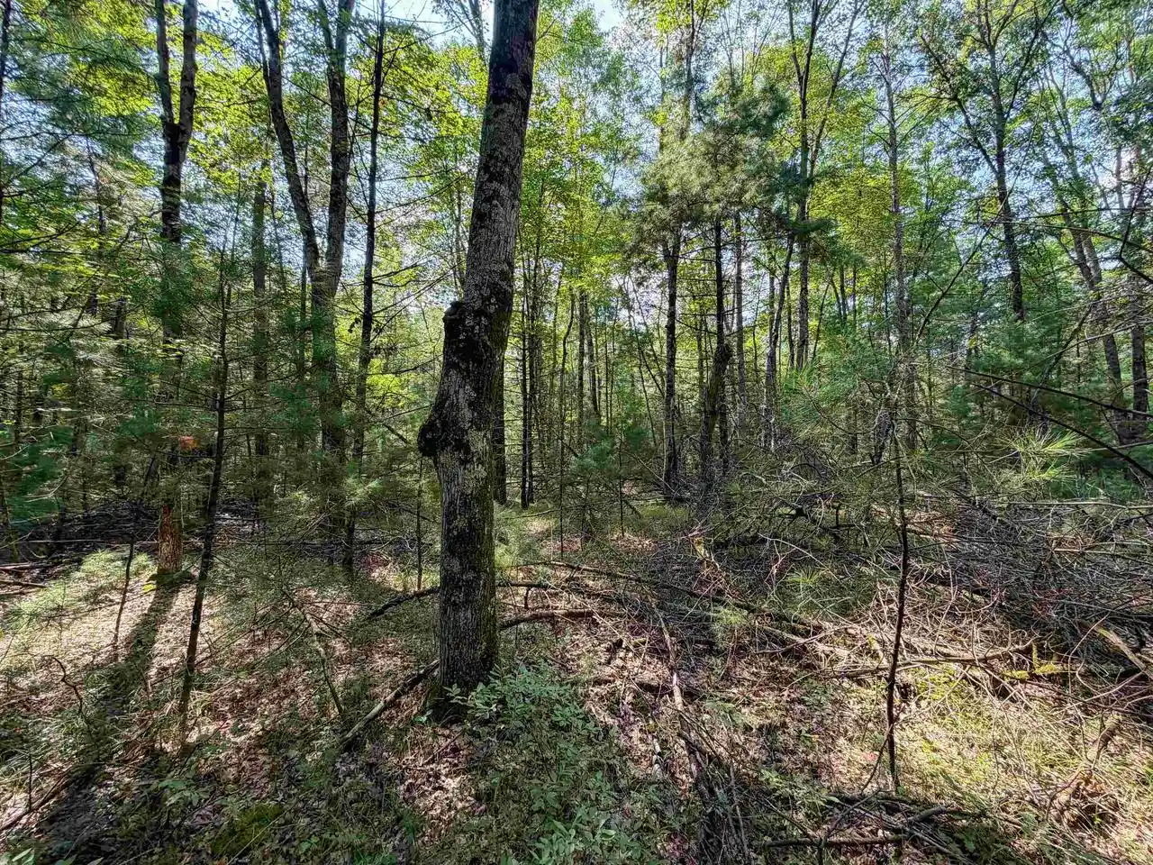 5th image of W8596 Bluebird Dr Dr, Merrillan, WI 54754 | MLS# 2030598