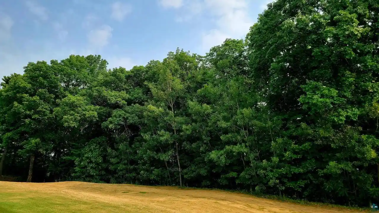 Photo 2 of Land for sale at 84xxx Raspberry Ln Ln, Bayfield, WI 54814 | MLS# 6127392 | Listing updated on 2026-09-02