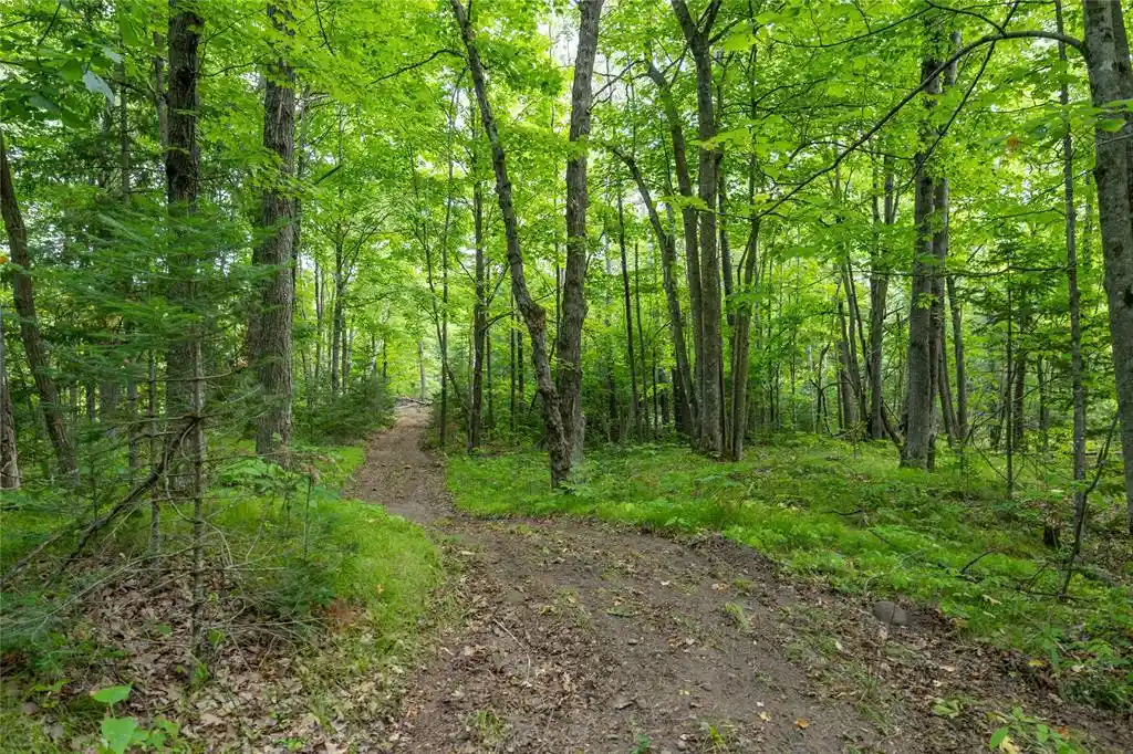 4th image of W5957 Happy Acres Road Road, Tony, WI 54563 | MLS# 1604243