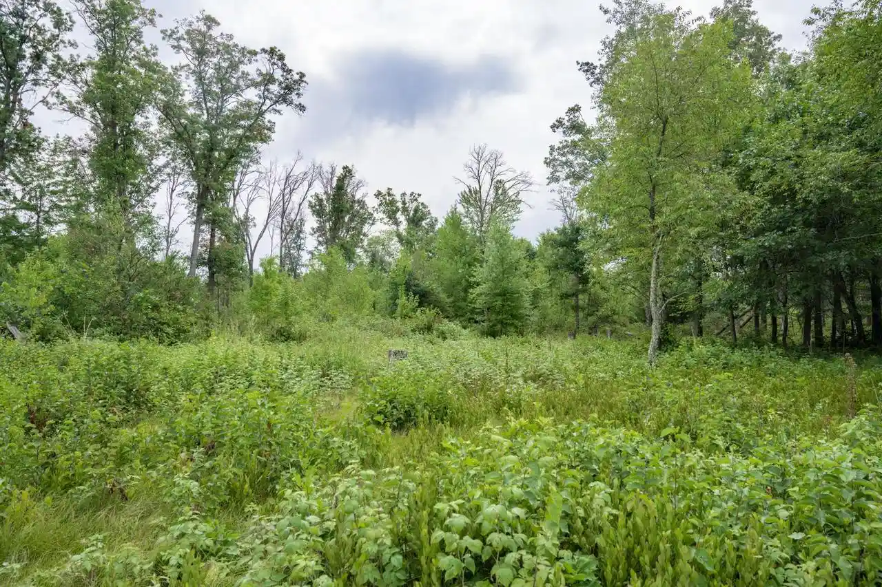 2nd image of N13230 17th Avenue Avenue, Necedah, WI 54646 | MLS# 2030609