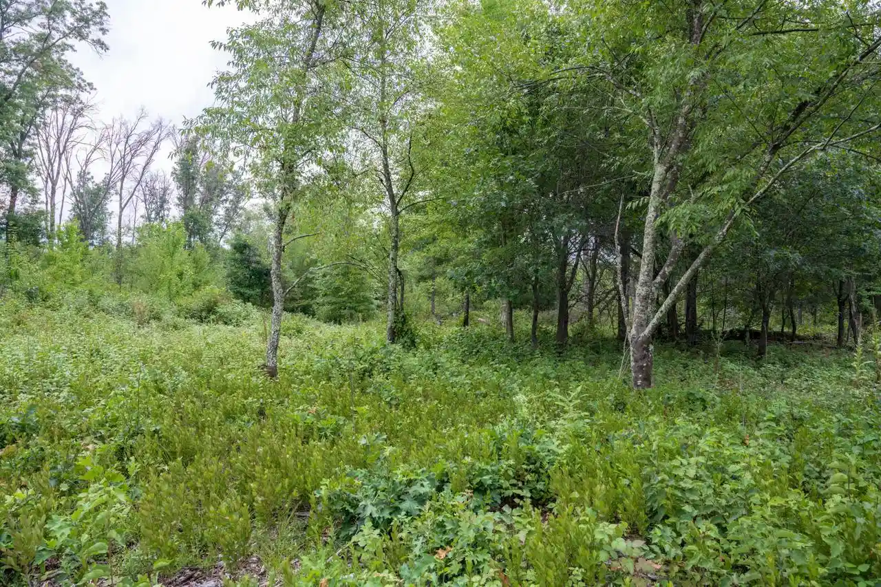 4th image of N13230 17Th Avenue Avenue, Necedah, WI 54646 | MLS# 2030609