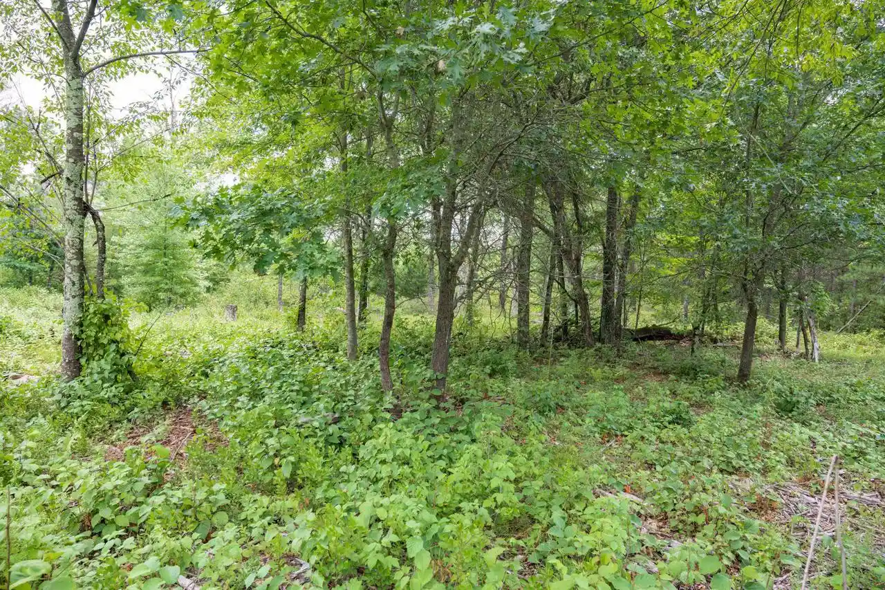 5th image of N13230 17Th Avenue Avenue, Necedah, WI 54646 | MLS# 2030609