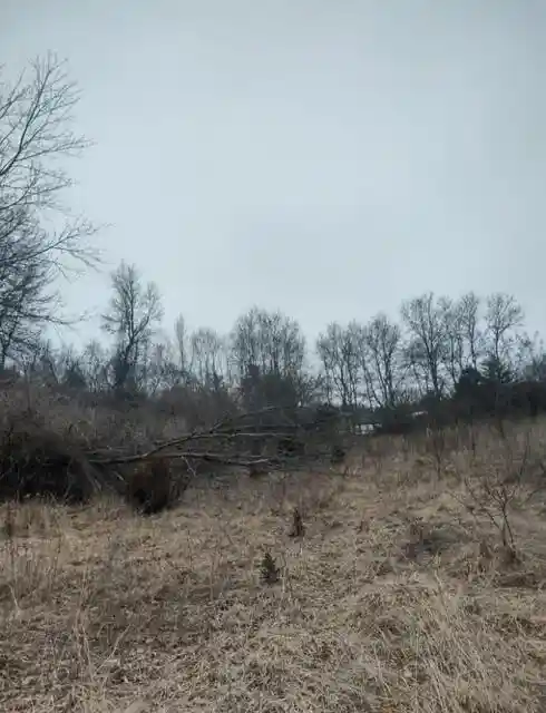 6th image of W2765 Apple Lane Lane, Green Lake, WI 54941 | MLS# 1976430