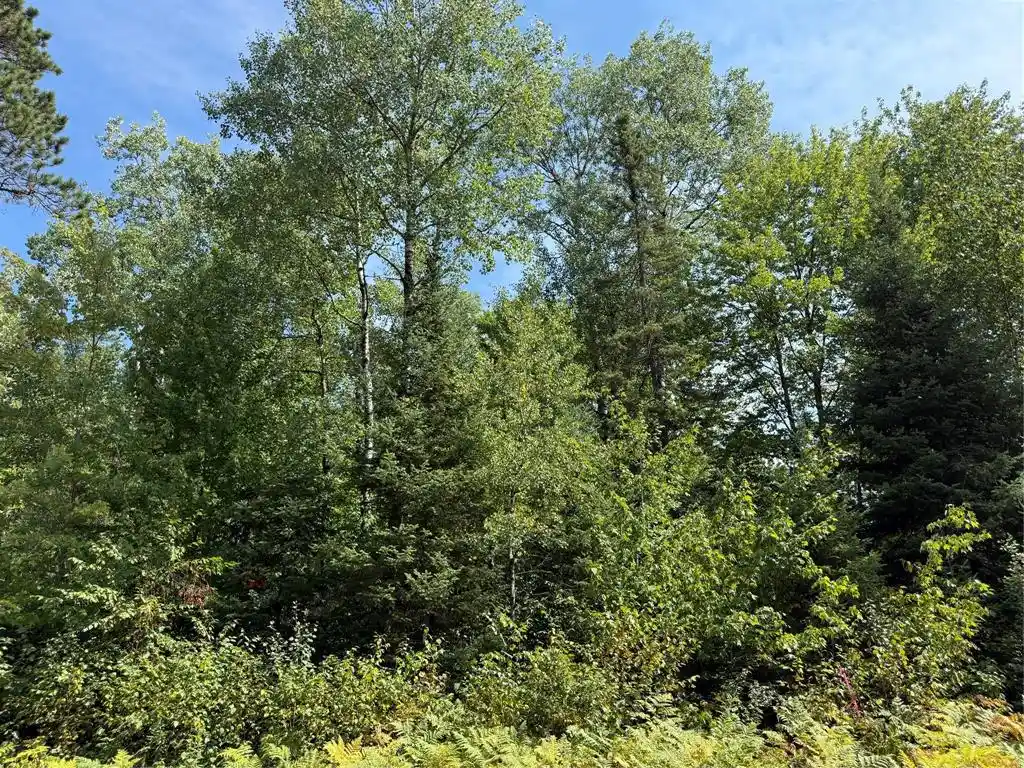 Photo 1 of Land for sale at Lot 38 & 39 Stone Pine Dr Dr, Cable, WI 54821 | MLS# 1604268 | Listing updated on 2026-09-16
