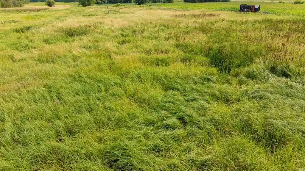 Photo 3 of Land for sale at 0 County Road K, Boyceville, WI 54725 | MLS# 1604279 | Listing updated on 2026-09-04