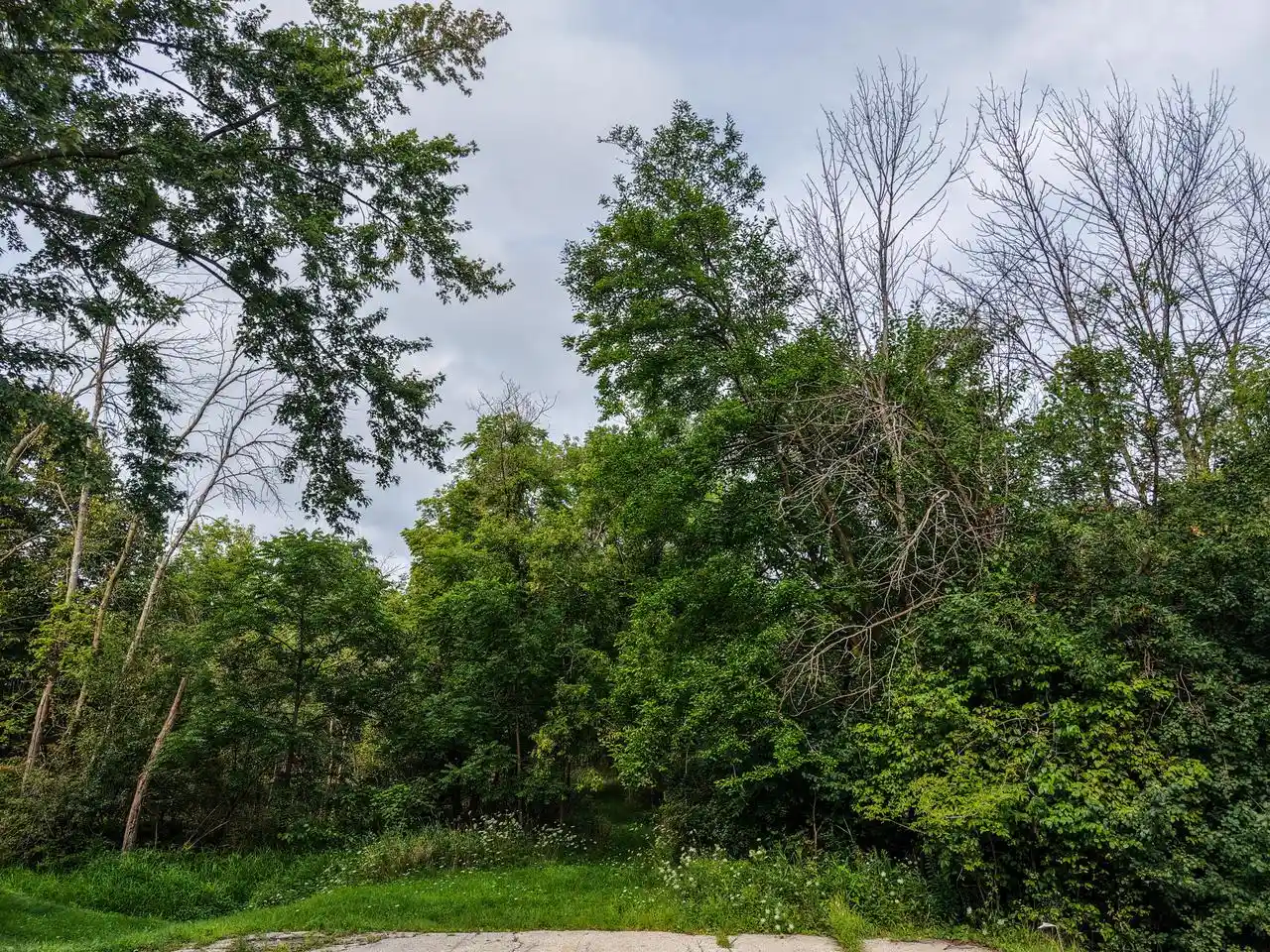 2nd image of Lt1 Betterway Dr Dr, Mayville, WI 53050 | MLS# 1976506