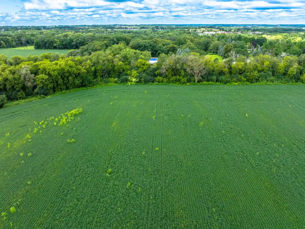 Photo 2 of Land for sale at Lt1 Potter Road Road, Elkhorn, WI 53121 | MLS# 1976521 | Listing updated on 2026-08-18