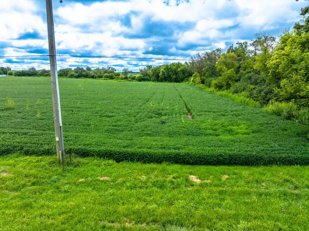 Photo 3 of Land for sale at Lt1 Potter Road Road, Elkhorn, WI 53121 | MLS# 1976521 | Listing updated on 2026-08-18