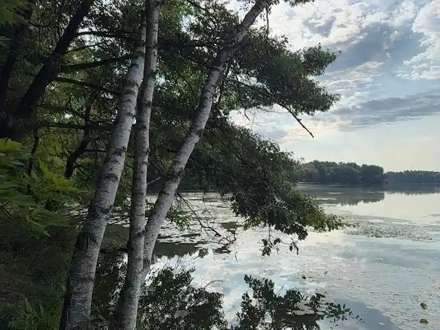 1st image of Lot 4 9 3/4 Avenue Avenue, Chetek, WI 54728 | MLS# 1603973
