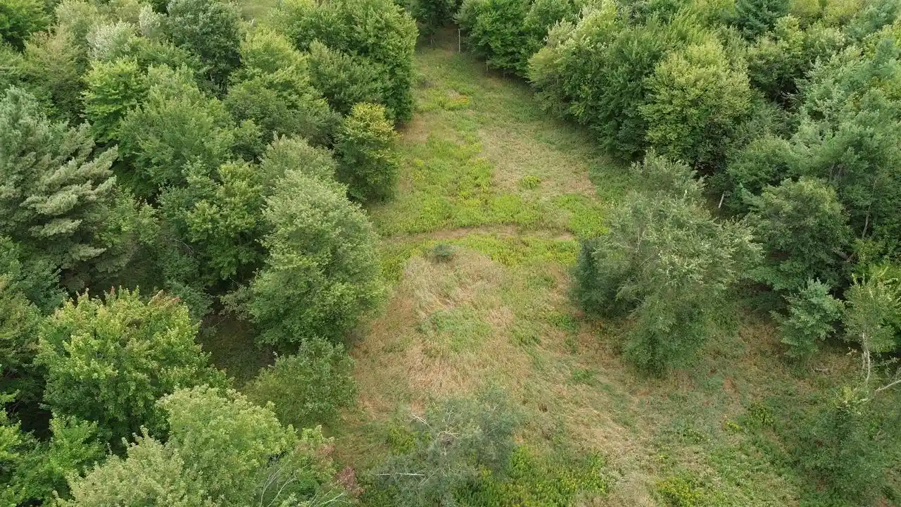 Photo 4 of Land for sale at 0 County Road F, Plover, WI 54467 | MLS# 22603997 | Listing updated on 2026-08-20