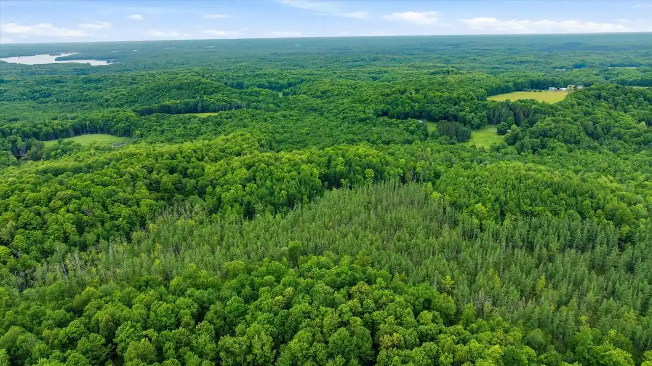 3rd image of Brush Creek Road Road, Medford, WI 54451 | MLS# 22603999