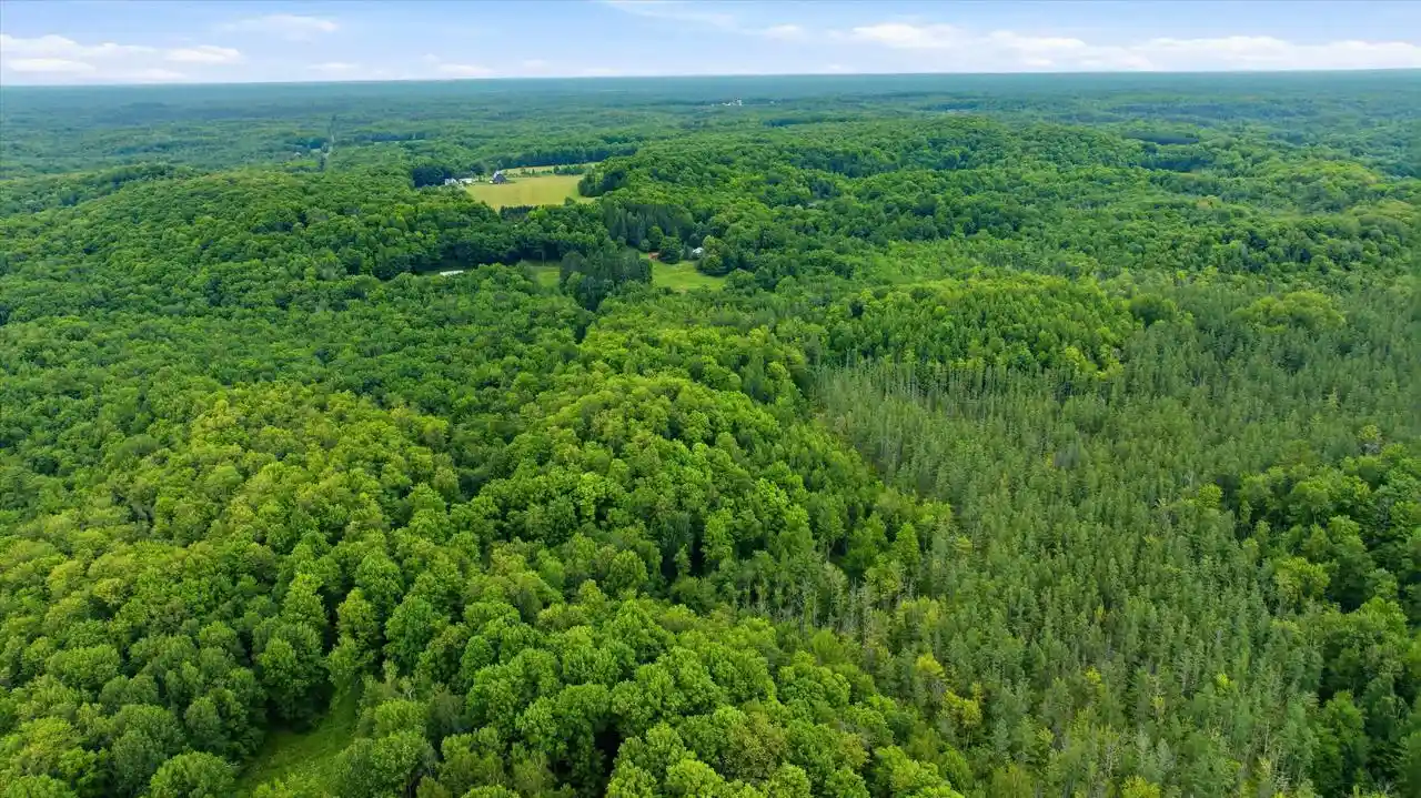 2nd image of 018 00101 0000 Brush Creek Road Road, Medford, WI 54451 | MLS# 22604000