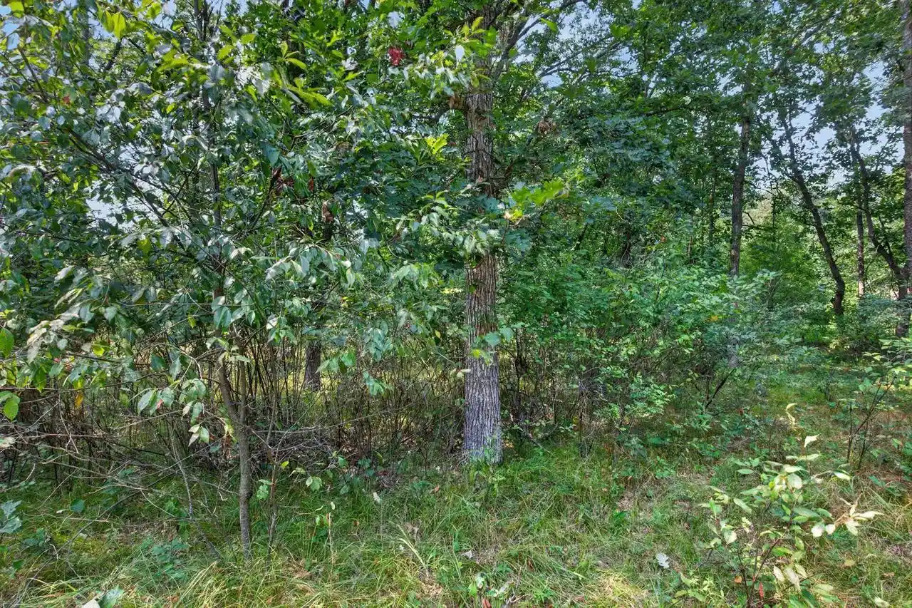 Photo 3 of Land for sale at 349 Pinehurst Dr Dr, Nekoosa, WI 54457 | MLS# 22604002 | Listing updated on 2026-09-21