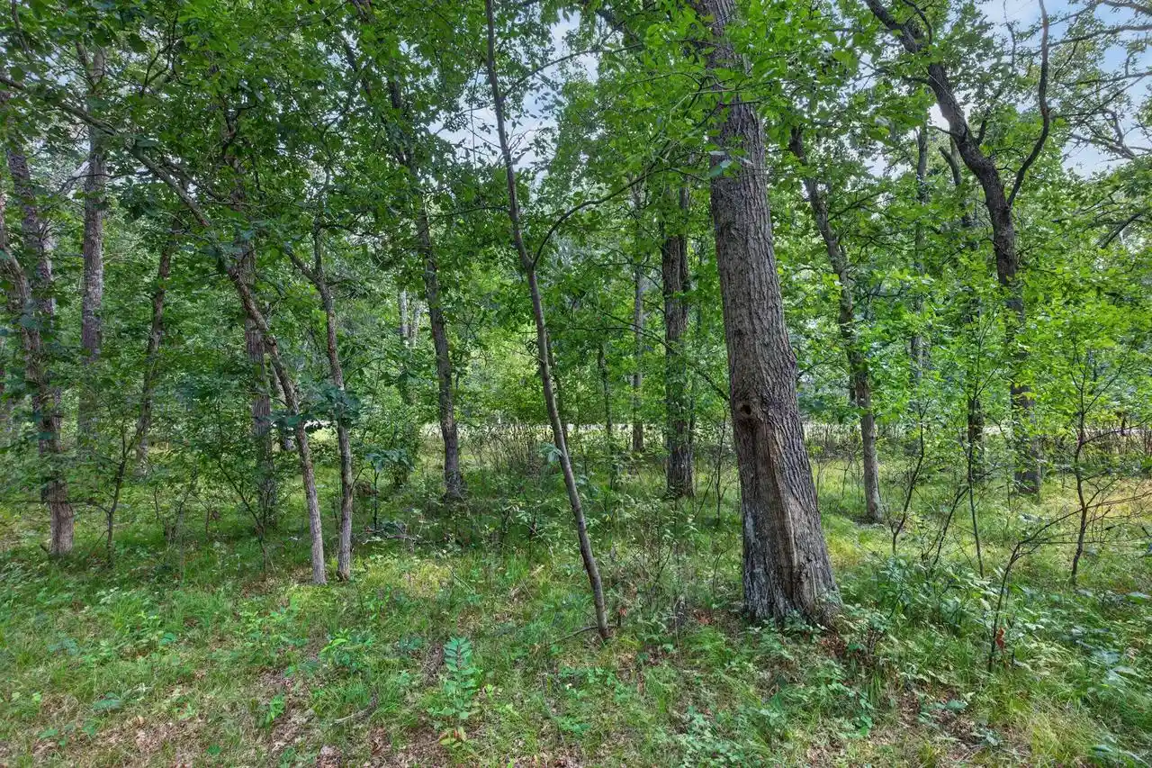 Photo 4 of Land for sale at 349 Pinehurst Dr Dr, Nekoosa, WI 54457 | MLS# 22604002 | Listing updated on 2026-09-21