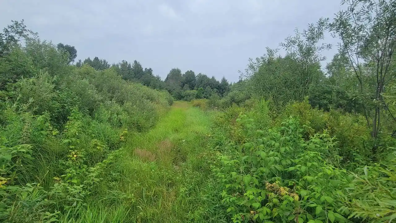2nd image of W1146 Hwy 8, Brantwood, WI 54513 | MLS# 50331161