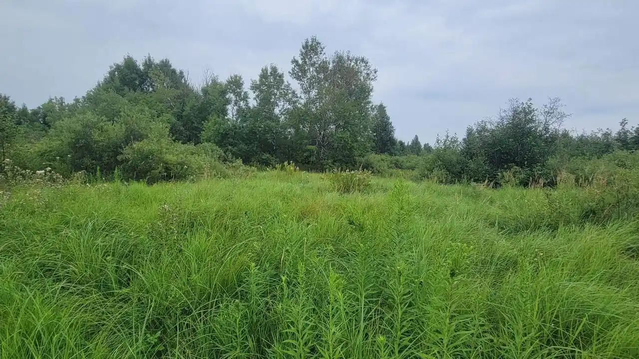 3rd image of W1146 Hwy 8, Brantwood, WI 54513 | MLS# 50331161