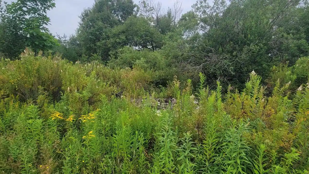 4th image of W1146 Hwy 8, Brantwood, WI 54513 | MLS# 50331161