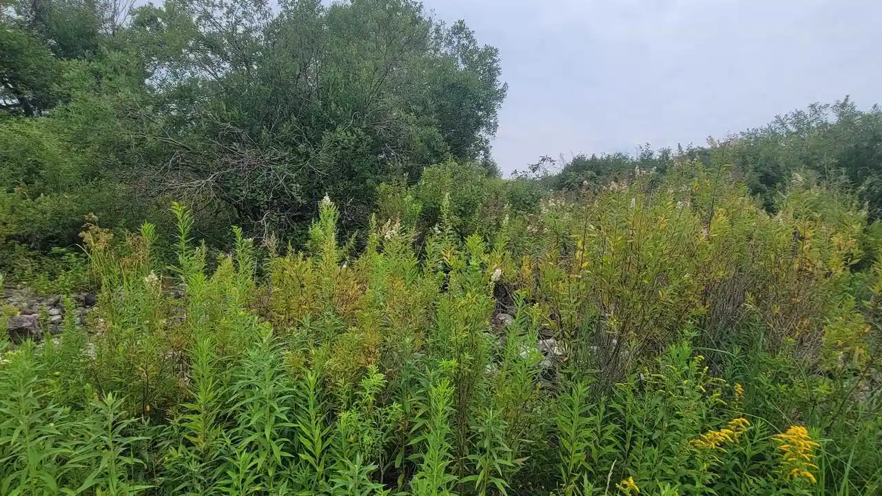 5th image of W1146 Hwy 8, Brantwood, WI 54513 | MLS# 50331161