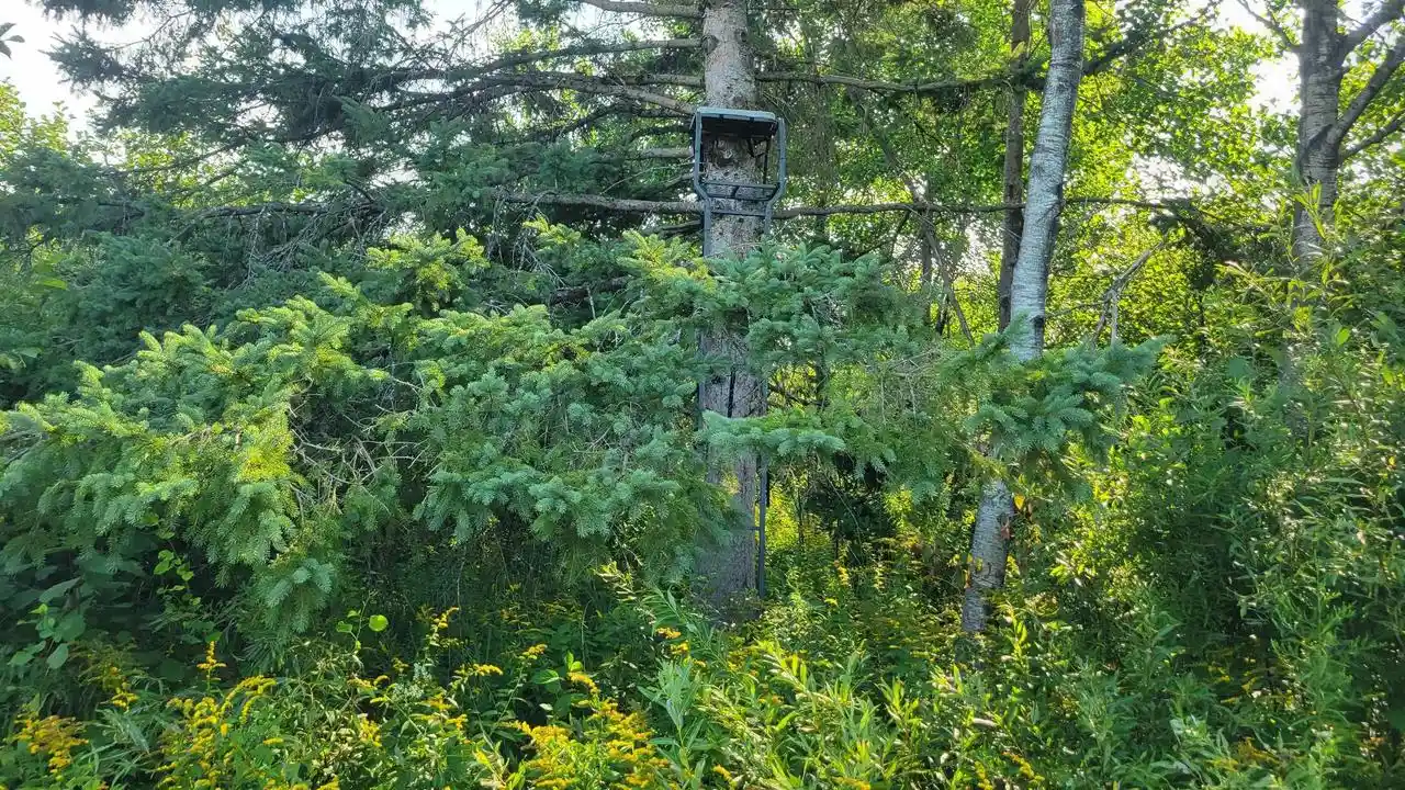 42nd image of W1146 Hwy 8, Brantwood, WI 54513 | MLS# 50331161
