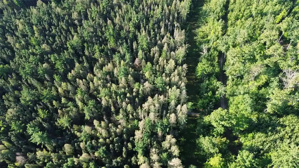 Photo 2 of Land for sale at 0000 Sand Lake Road, Stone Lake, WI 54876 | MLS# 1604299 | Listing updated on 2026-09-08