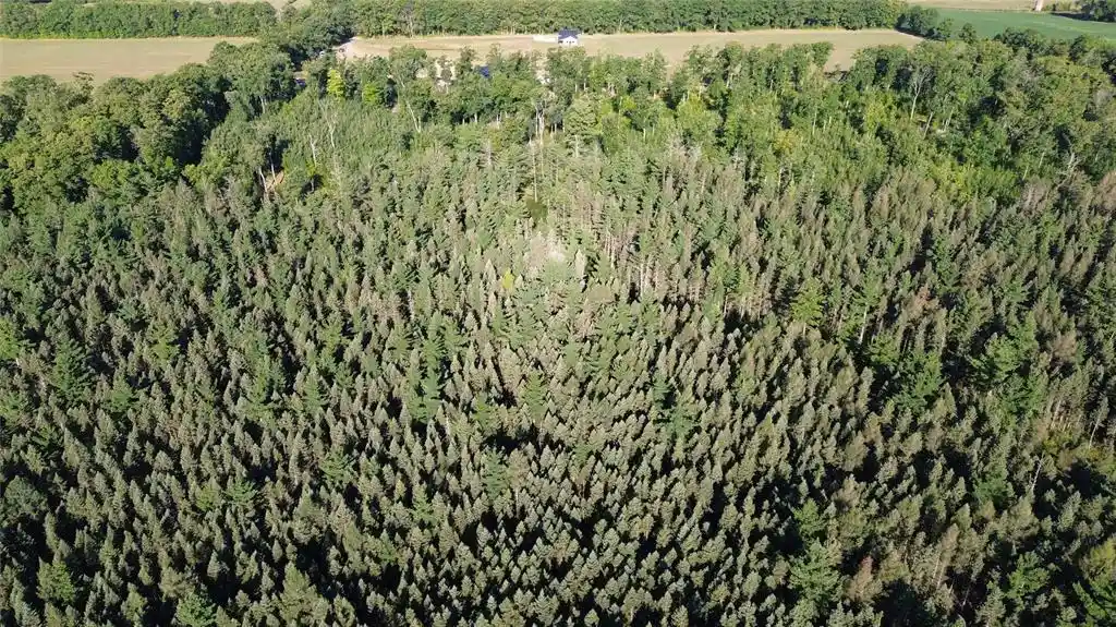 Photo 4 of Land for sale at 0000 Sand Lake Rd, Stone Lake, WI 54876 | MLS# 1604299 | Listing updated on 2026-09-08