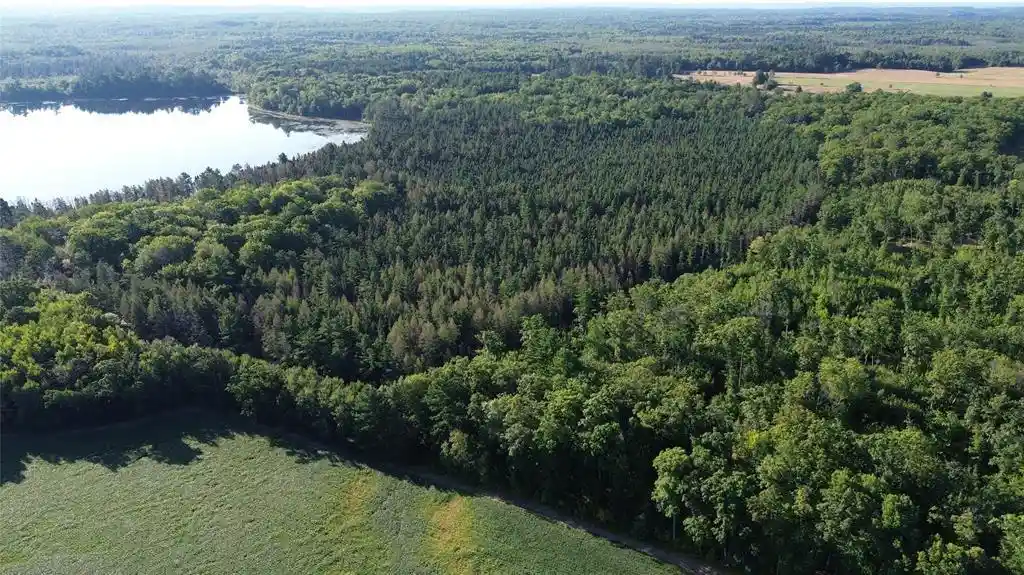 Photo 38 of Land for sale at 0000 Sand Lake Road, Stone Lake, WI 54876 | MLS# 1604299 | Listing updated on 2026-09-08