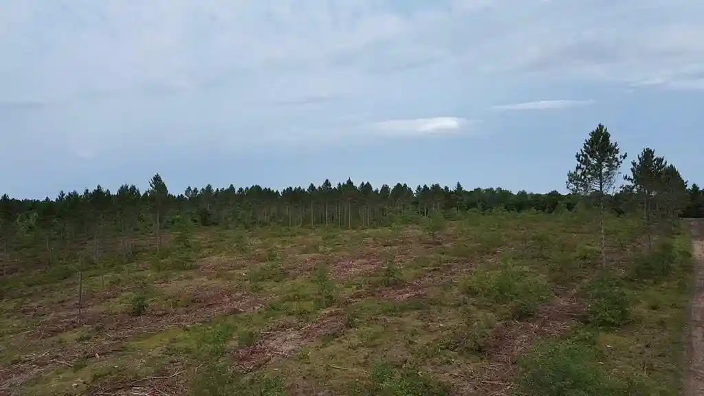 Photo 4 of Land for sale at 211X Ellison Lake Road, Barnes, WI 54873 | MLS# 1604309 | Listing updated on 2026-08-18