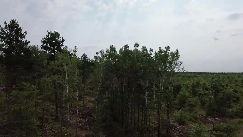 Photo 1 of Land for sale at 22xx Tomahawk Lake Road, Barnes, WI 54873 | MLS# 1604294 | Listing updated on 2026-08-18