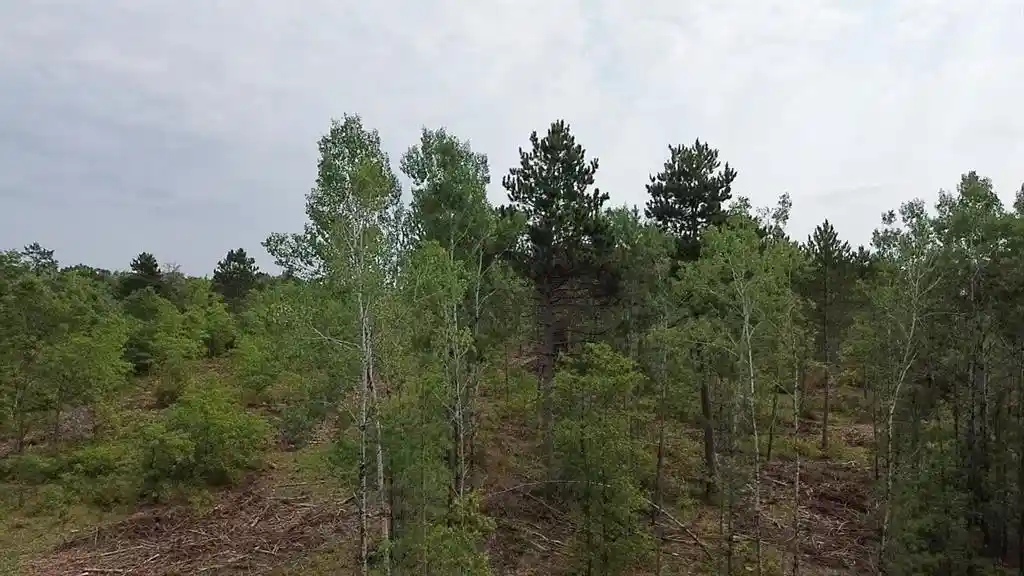 Photo 2 of Land for sale at 22xx Tomahawk Lake Road, Barnes, WI 54873 | MLS# 1604294 | Listing updated on 2026-08-18