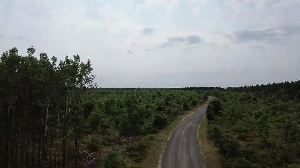 Photo 2 of Land for sale at 22Xx Tomahawk Lake Road, Barnes, WI 54873 | MLS# 1604294 | Listing updated on 2026-08-18