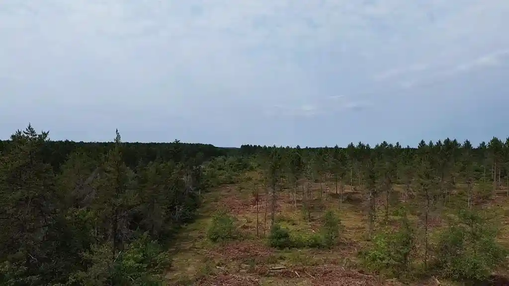 Photo 3 of Land for sale at 22Xx Tomahawk Lake Road, Barnes, WI 54873 | MLS# 1604294 | Listing updated on 2026-08-18