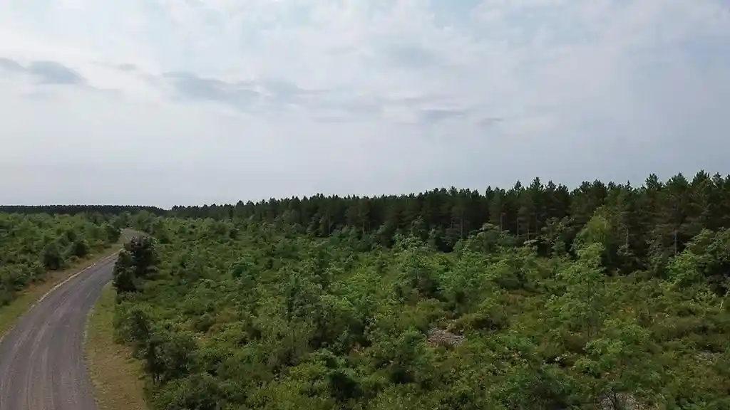 Photo 4 of Land for sale at 22Xx Tomahawk Lake Road, Barnes, WI 54873 | MLS# 1604294 | Listing updated on 2026-08-18