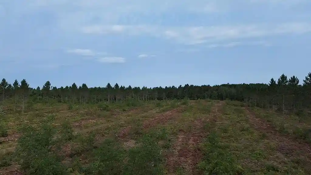 Photo 1 of Land for sale at 21xx Ellison Lake Road, Barnes, WI 54873 | MLS# 1604308 | Listing updated on 2026-08-18