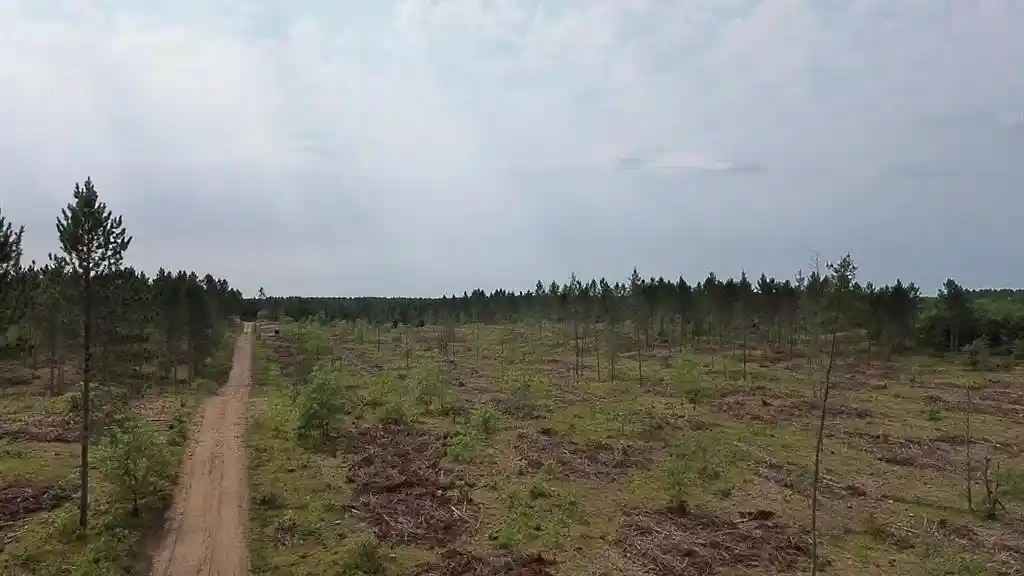 Photo 2 of Land for sale at 21xx Ellison Lake Road, Barnes, WI 54873 | MLS# 1604308 | Listing updated on 2026-08-18