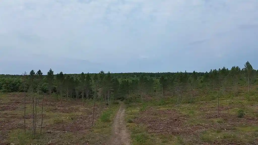 Photo 2 of Land for sale at 21Xx Ellison Lake Road, Barnes, WI 54873 | MLS# 1604308 | Listing updated on 2026-08-18