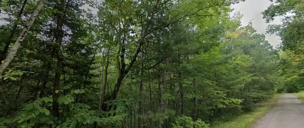 Photo 3 of Sale Pending at Tbd Carper Road Road, Iola, WI 54945 | MLS# 1604302 | Listing updated on 2026-08-21
