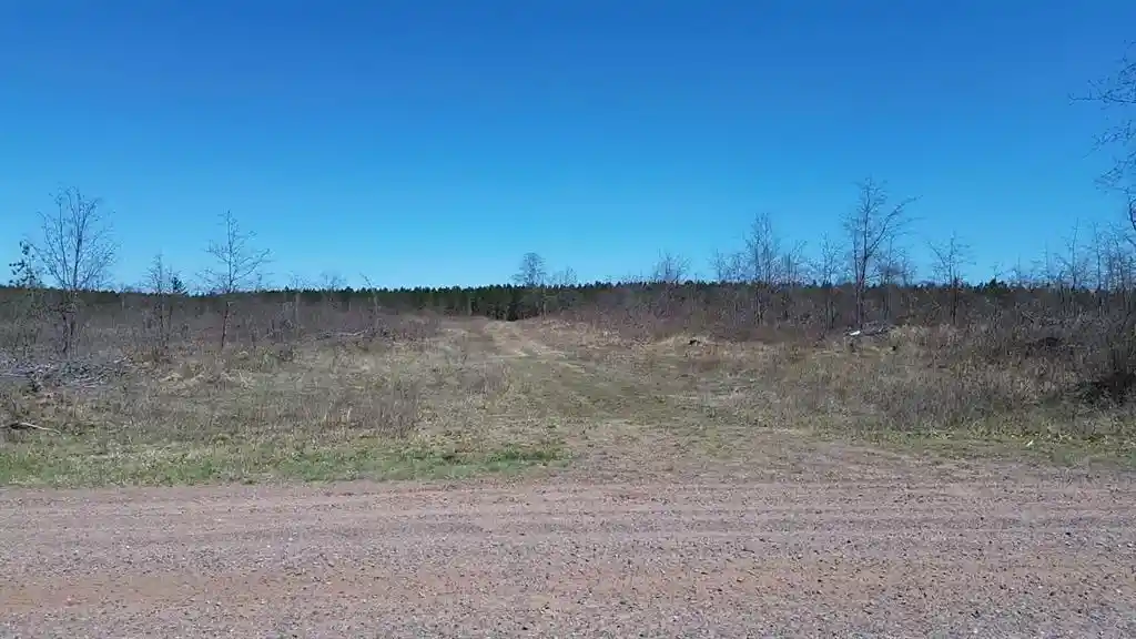 Photo 3 of Land for sale at 21Xx Tomahawk Lake Road, Barnes, WI 54873 | MLS# 1604311 | Listing updated on 2026-08-18