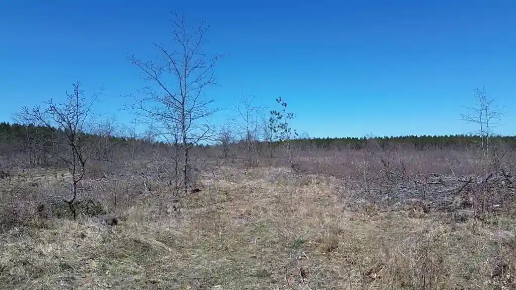 Photo 4 of Land for sale at 21Xx Tomahawk Lake Road, Barnes, WI 54873 | MLS# 1604311 | Listing updated on 2026-08-18