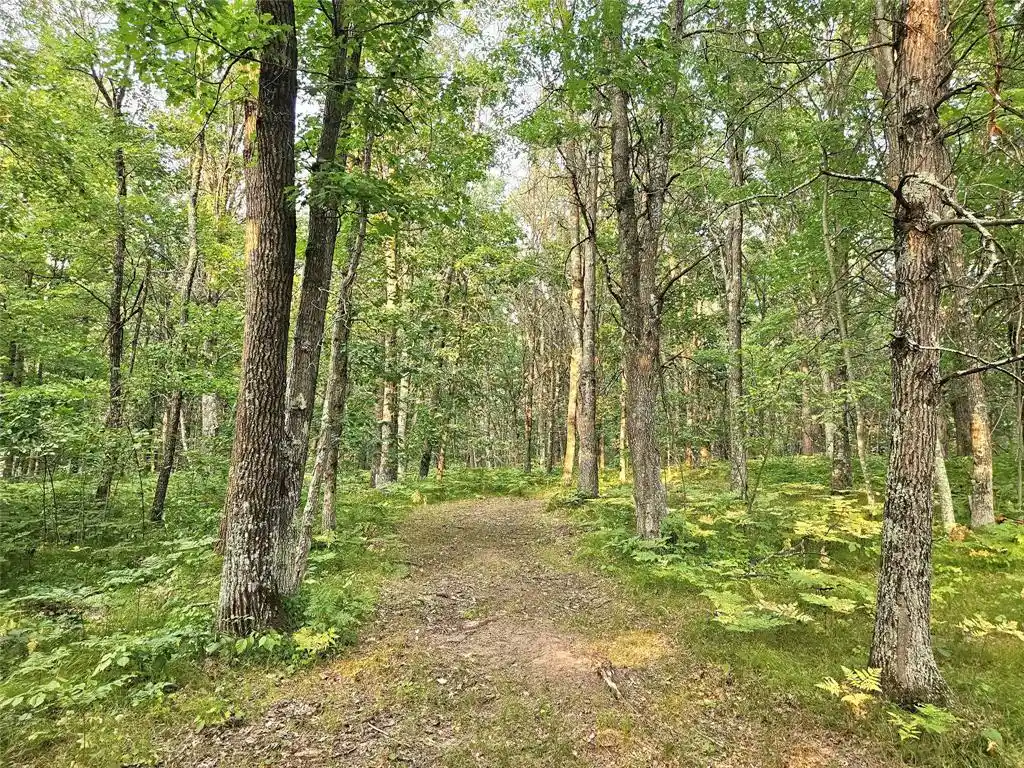 2nd image of N8356 Lincoln Lake Road Road, Trego, WI 54888 | MLS# 1604319